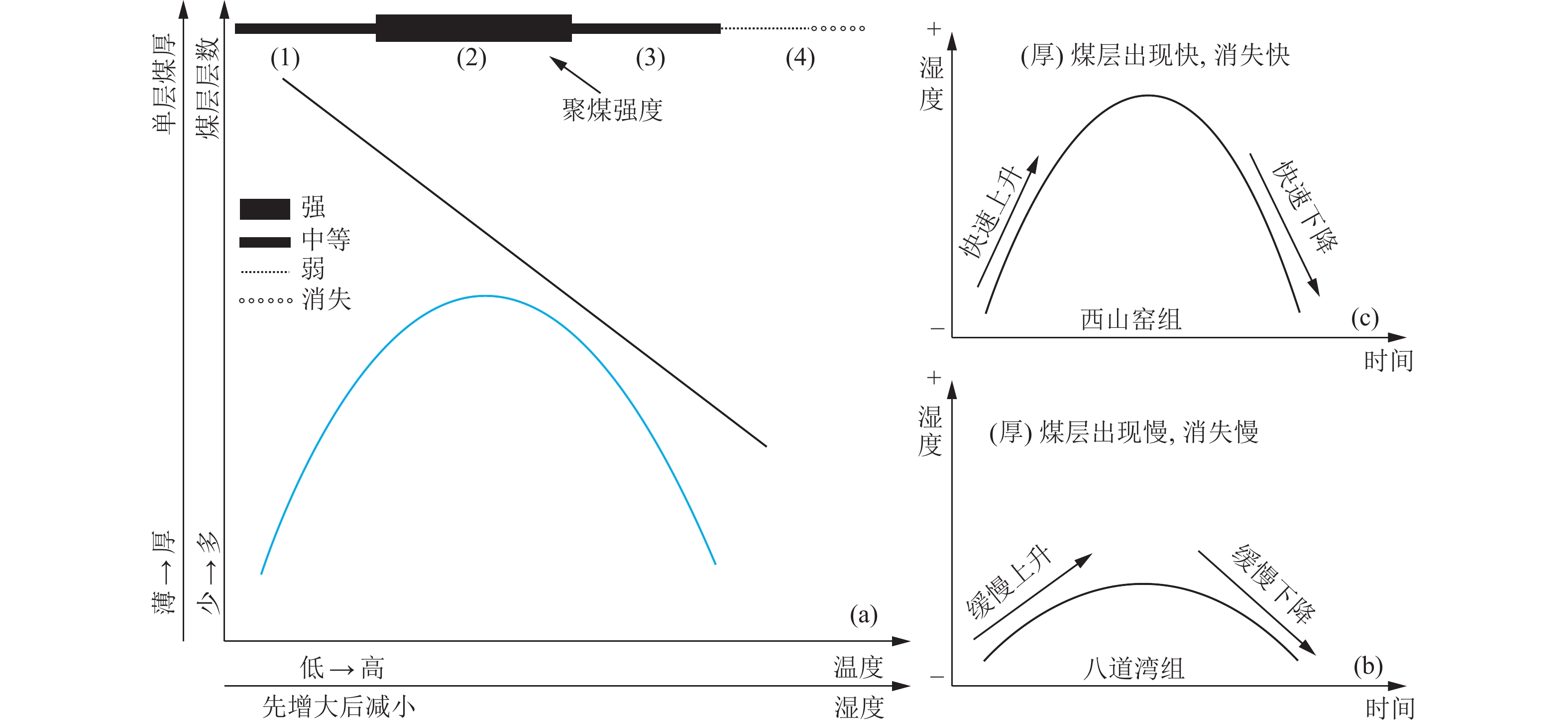 New understanding of coal seam distribution law Coal accumulation